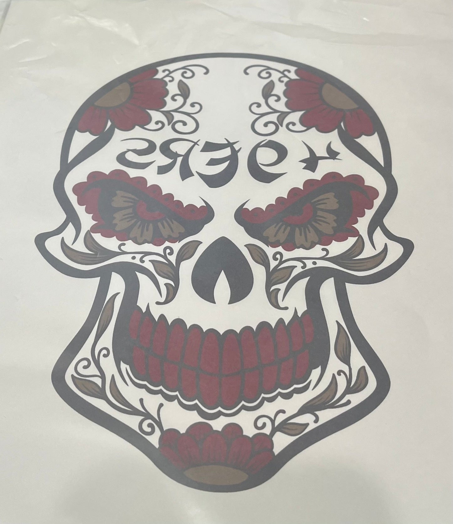 Sports Image (49ers skull)