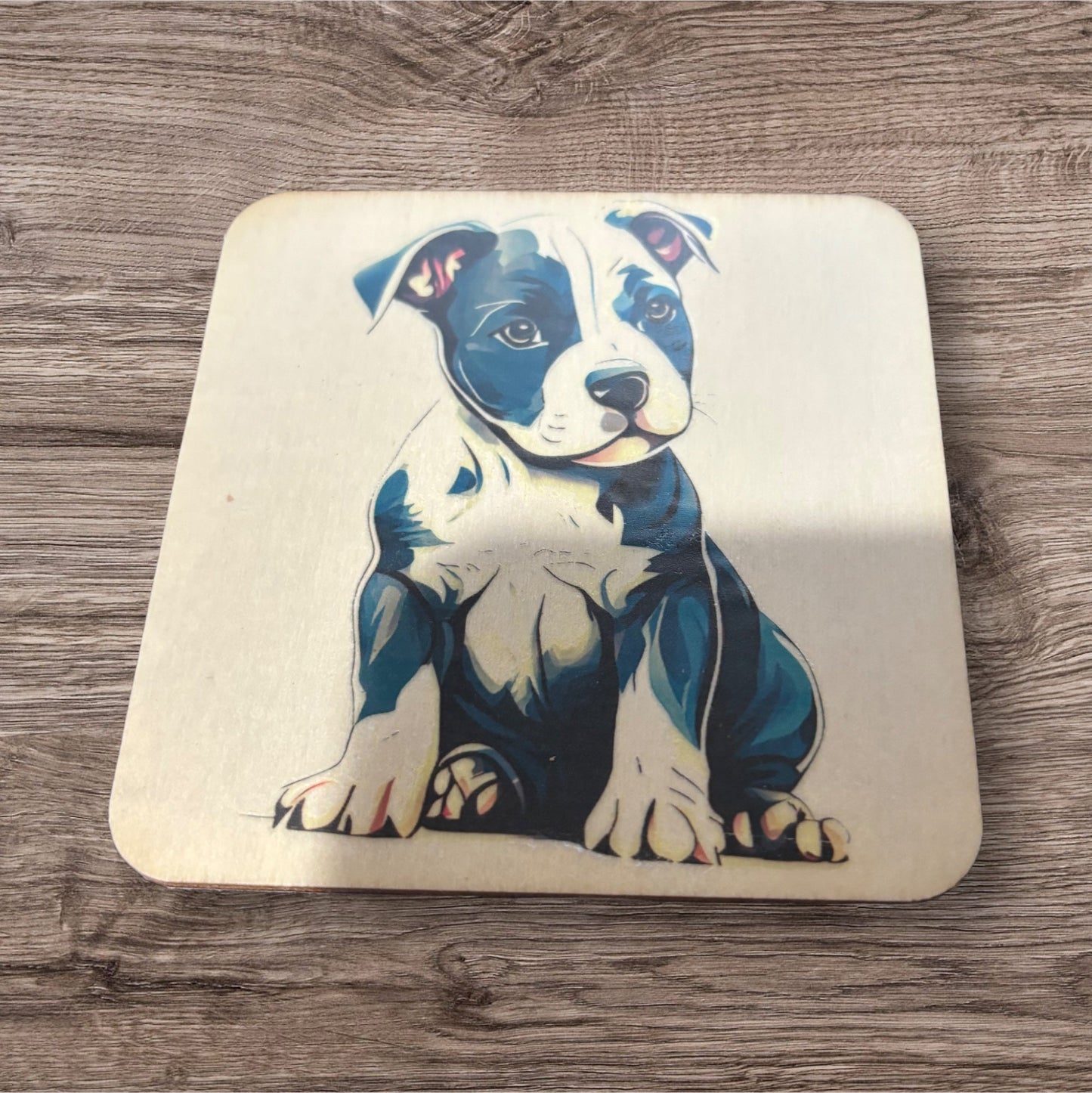 Printed Wood Coaster (Pit)