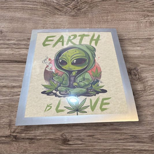 Printed Sign in a frame (Alien)