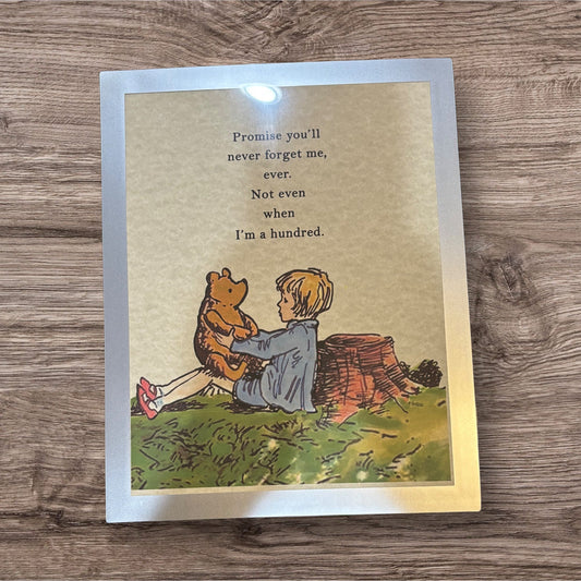 Printed Sign in a frame (Pooh)