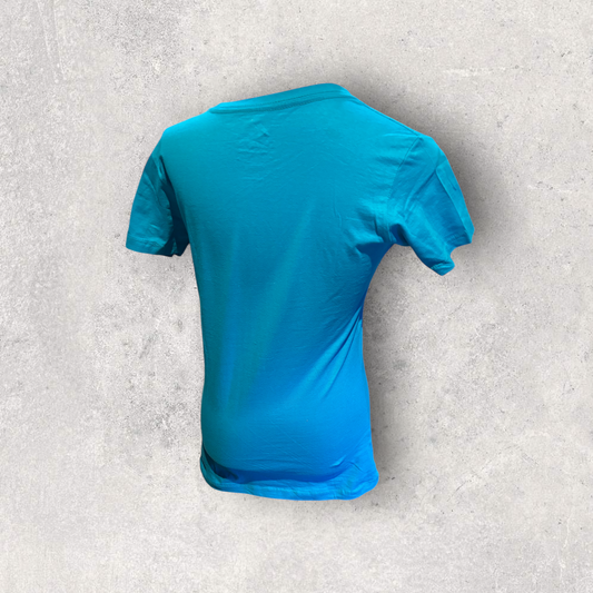 Printed Adult Gildan T-shirt (Easter Mickey)